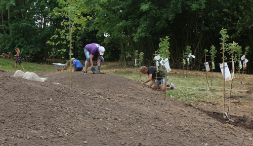 Et billede af Trykkeriparken, der viser parkens udvikling over tid.
