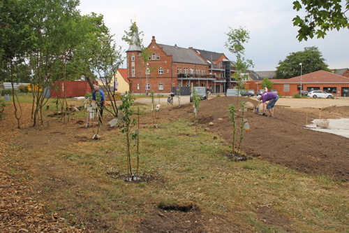 Et billede af Trykkeriparken, der viser parkens udvikling over tid.